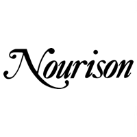 Shop Nourison Rugs