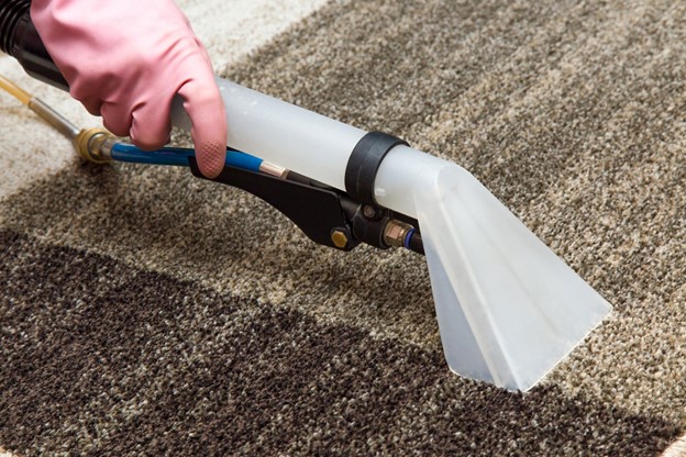 Carpet for Longevity and Style