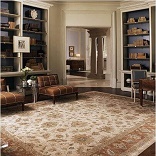 Shop Rugs